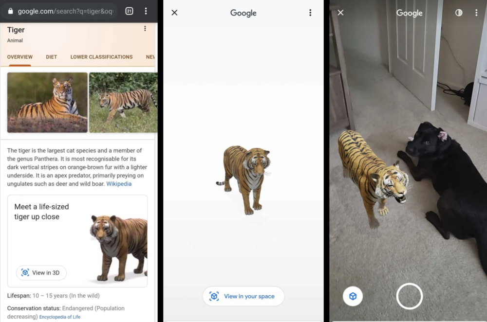 Що таке 3D-тварини Google та як вони працюють, як подивитися тваринок у доповненій реальності і які смартфони підтримують