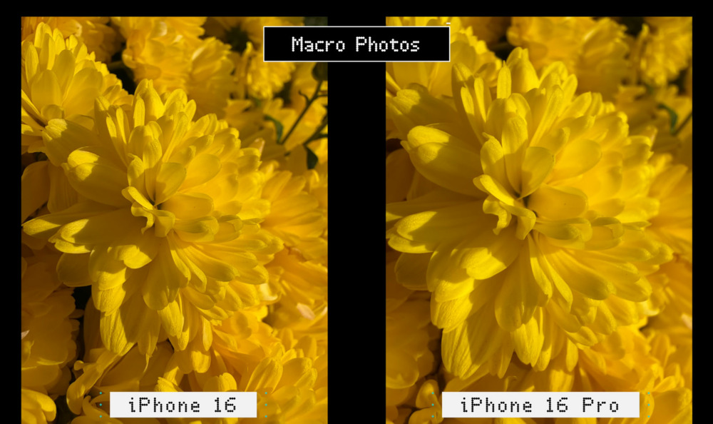 Порівняння характеристик та камер iPhone 16 Pro й iPhone 16 — що обрати для себе в 2025 році?