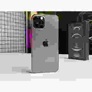 ВЖИВАНИЙ Apple iPhone 12 Pro 256GB Graphite 100% (MGLT3, MGMP3) 