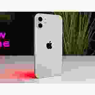 ВЖИВАНИЙ Apple iPhone 12 256GB White (MGHJ3, MGJH3) 100%